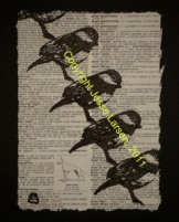 8x10d-bird-black-capped-chickadee
