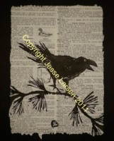 8x10d-bird-crow-on-twig