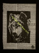 8x10d-wildlife-timberwolf